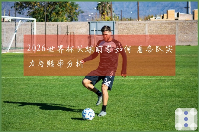 2026世界杯买球前景如何 看各队实力与赔率分析