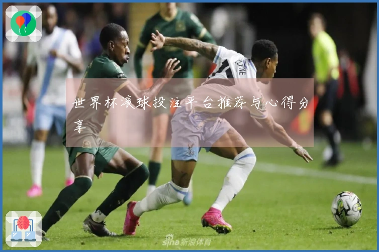 世界杯滚球投注平台推荐与心得分享