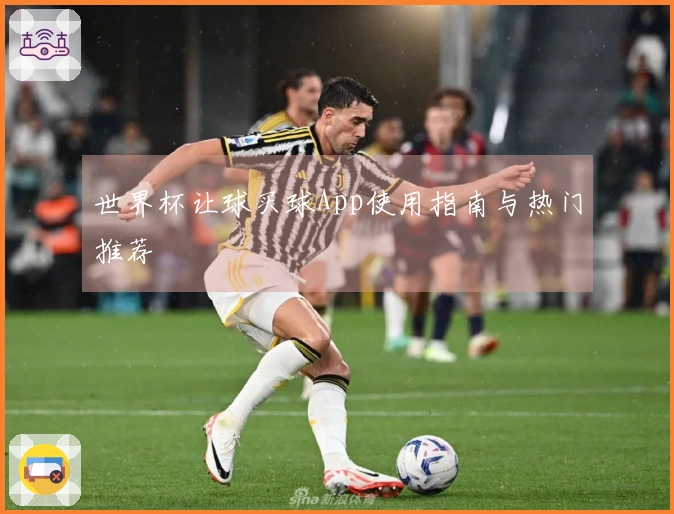 世界杯让球买球App使用指南与热门推荐