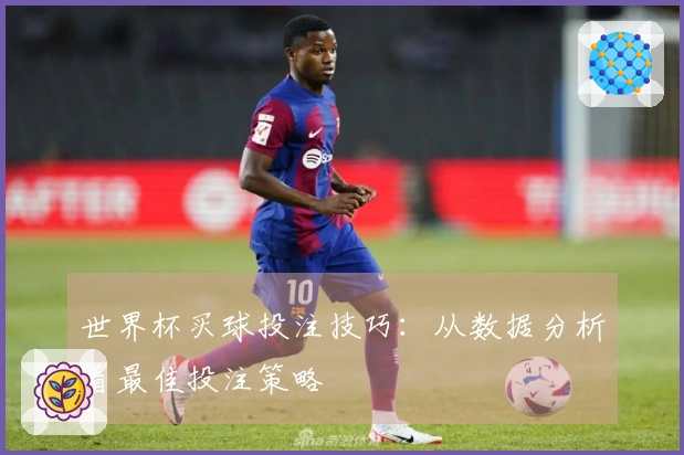 世界杯买球投注技巧：从数据分析看最佳投注策略
