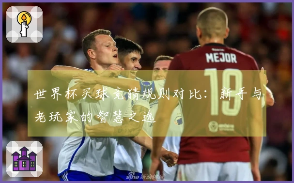 世界杯买球竞猜规则对比：新手与老玩家的智慧之选