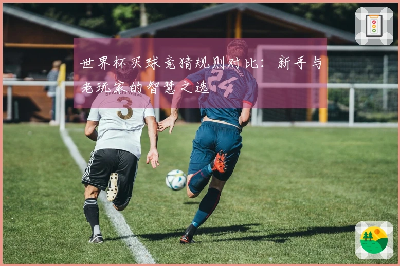 世界杯买球竞猜规则对比：新手与老玩家的智慧之选